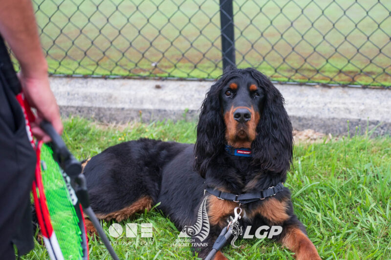 415316616_869042648563830_1528502757368312700_n